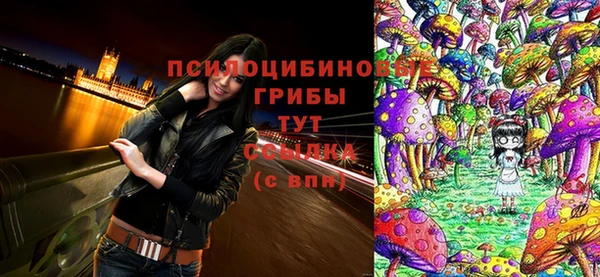 ГАЛЛЮЦИНОГЕННЫЕ ГРИБЫ Алексин